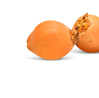 Kind Coconet